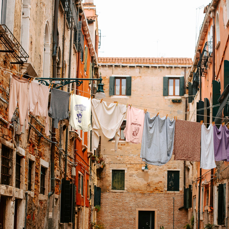 italian to survive