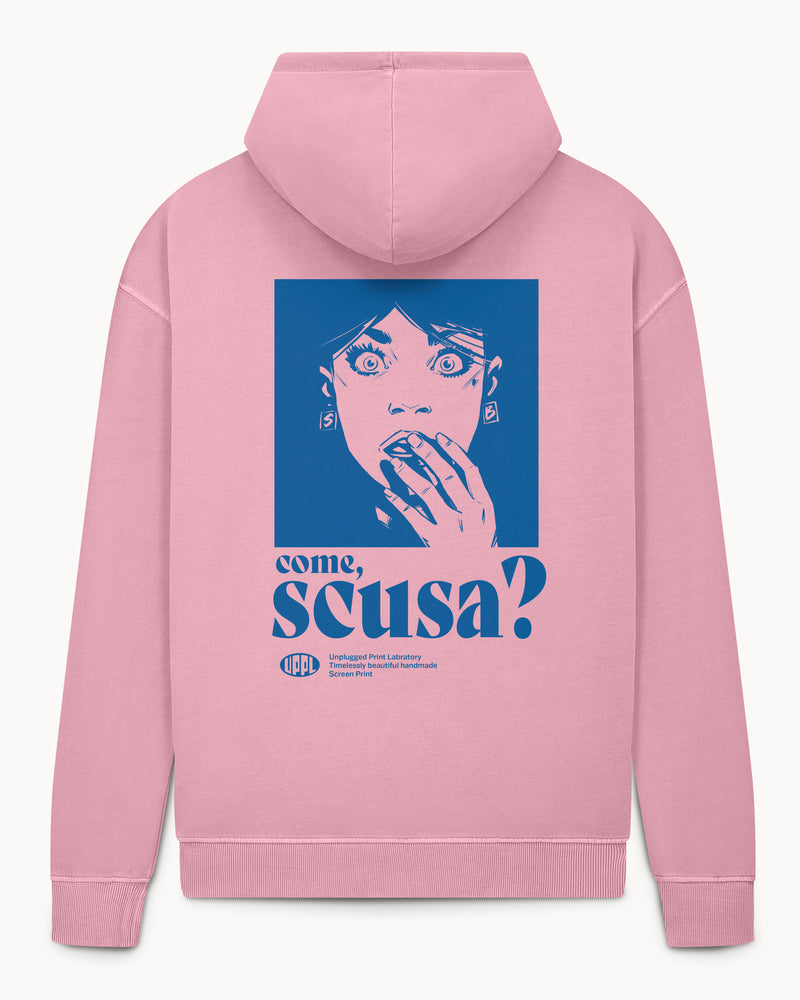 Bio Hoodie stone washed "Come, scusa?"