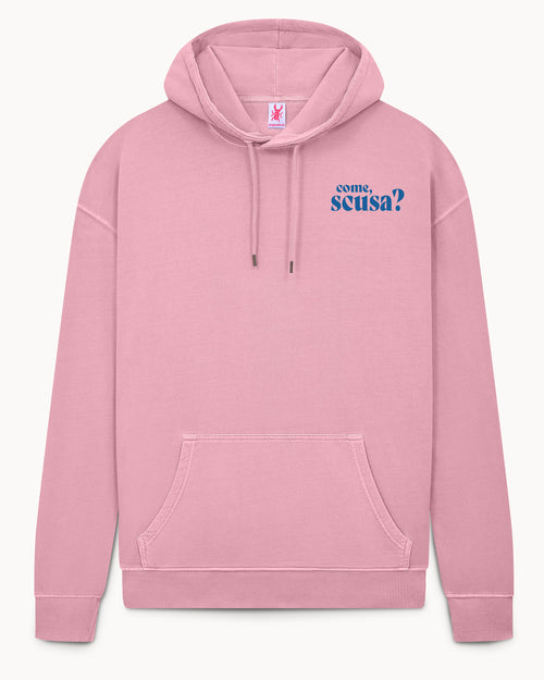 Bio Hoodie stone washed "Come, scusa?"